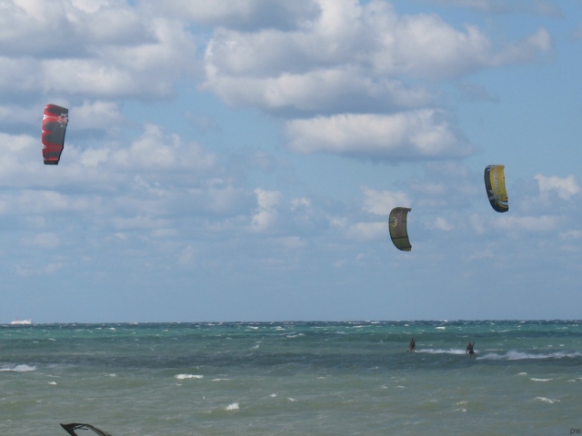 Allievi in acqua